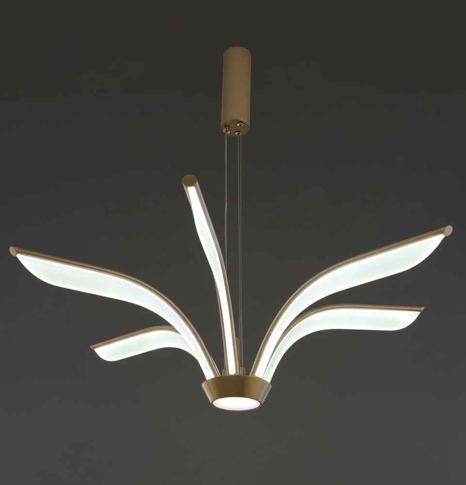 CEILING LIGHTS