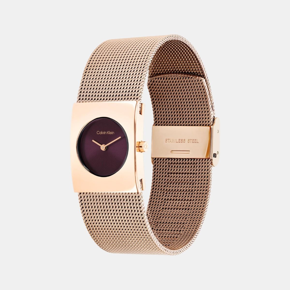 Calvin Klein Mesh Strap Watch 25100137 view 2