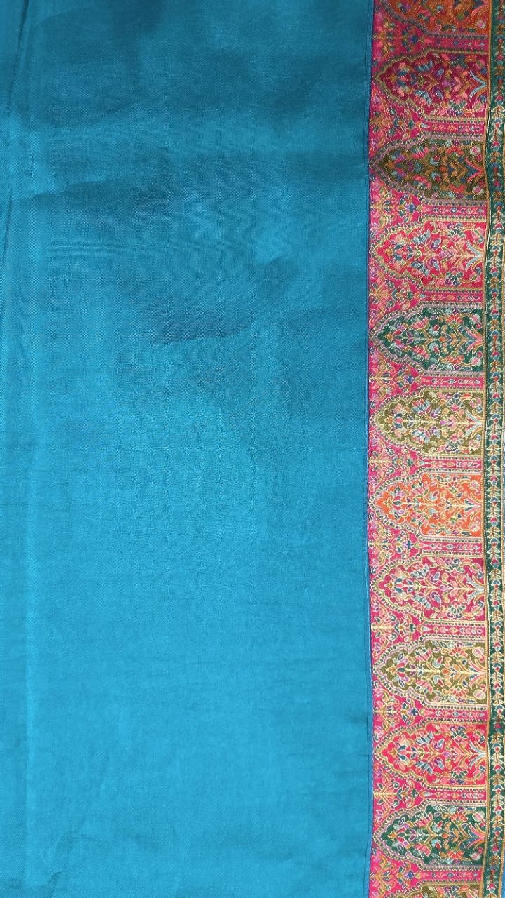 Pashmina Darbar .Saree view 6