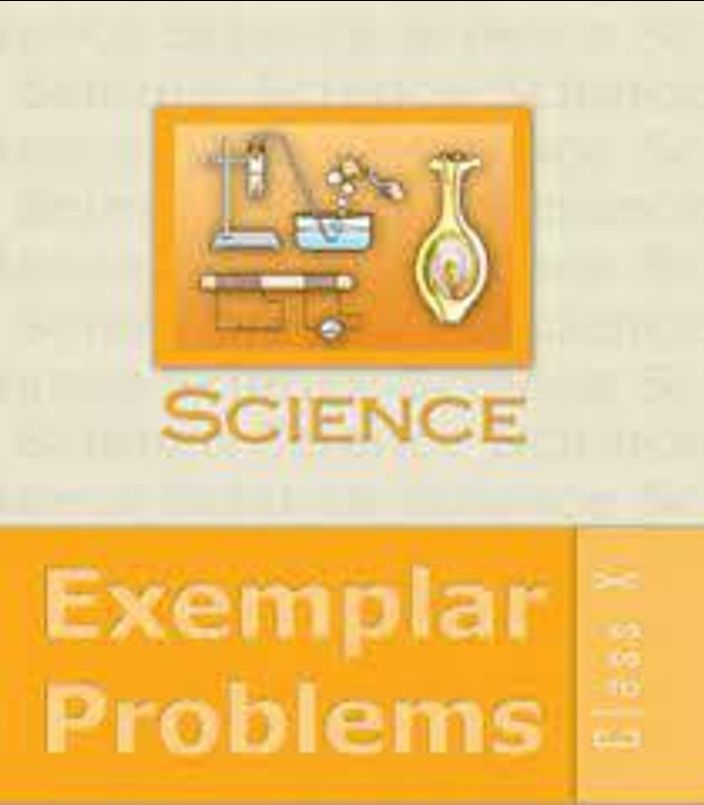 NCERT Science Exemplar Problems | 16070