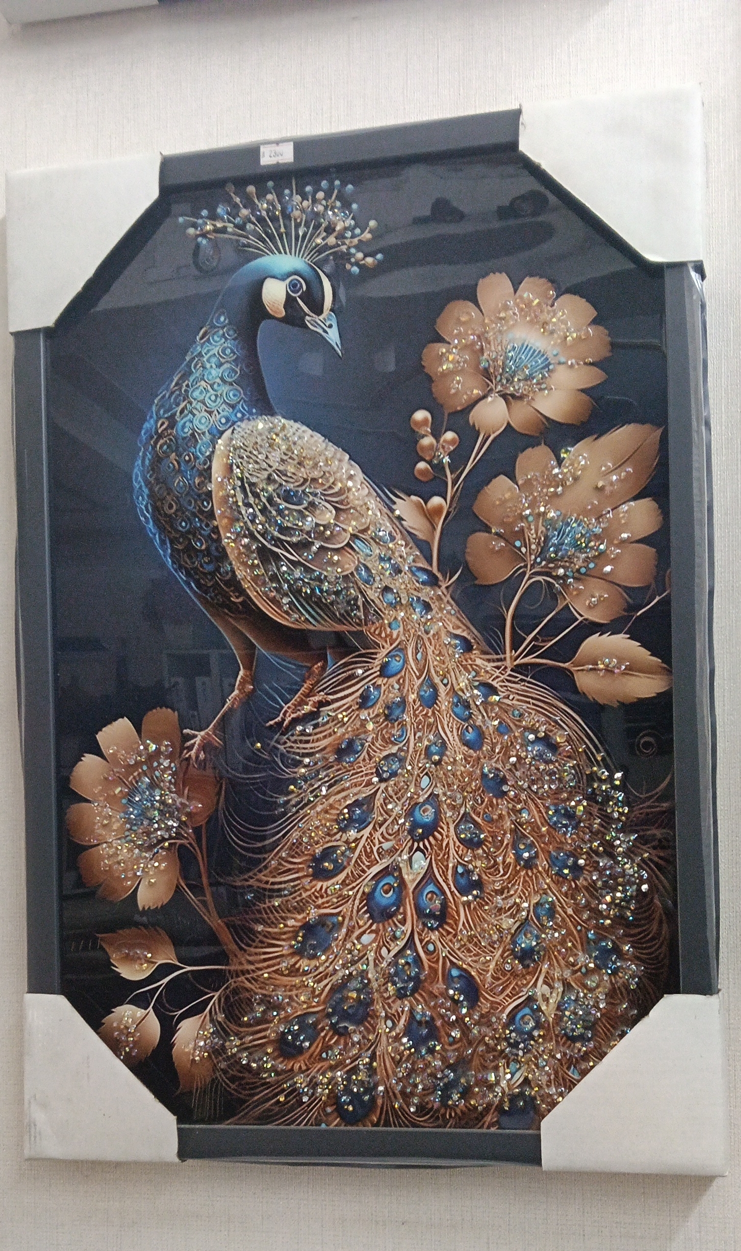 Peacock Artwork view 2