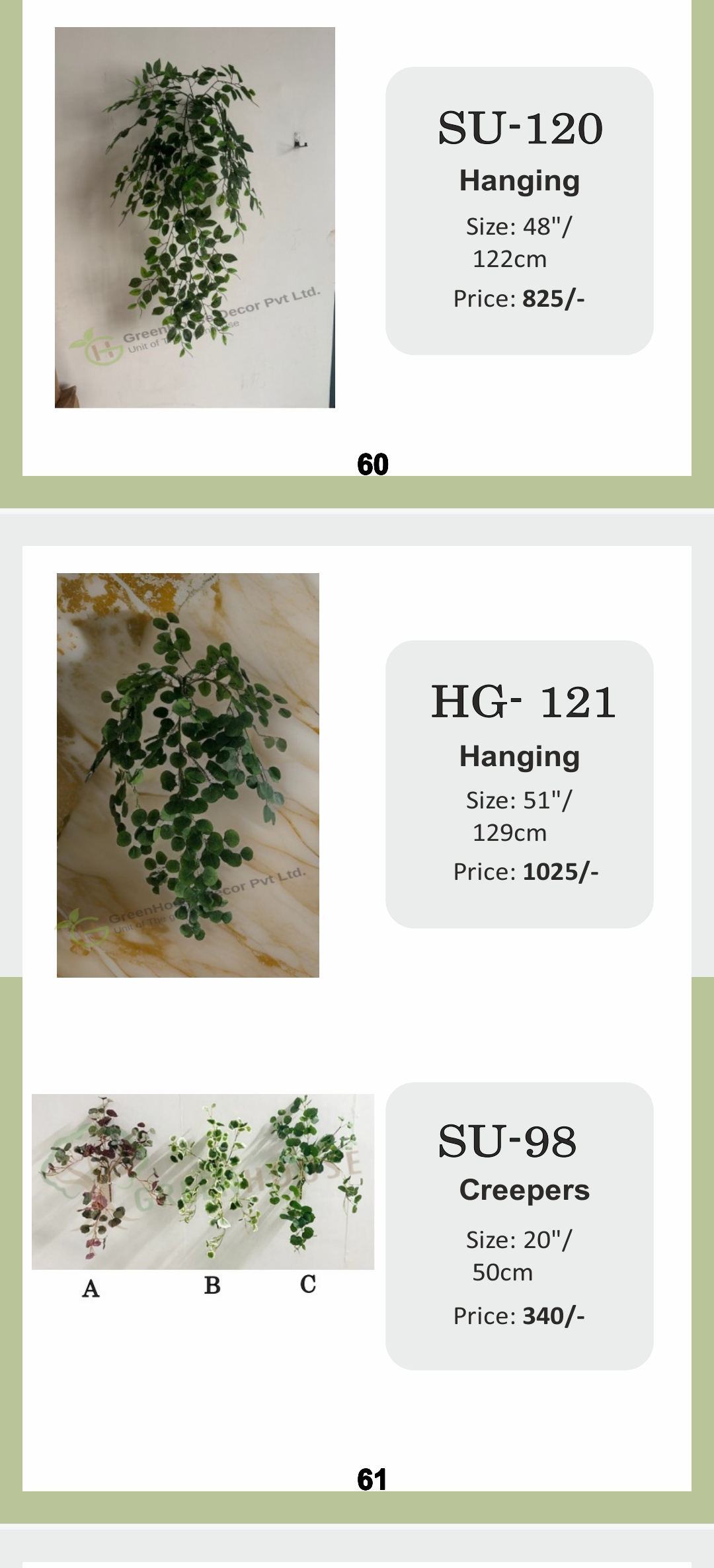 SU-120 Hanging Plant view 2