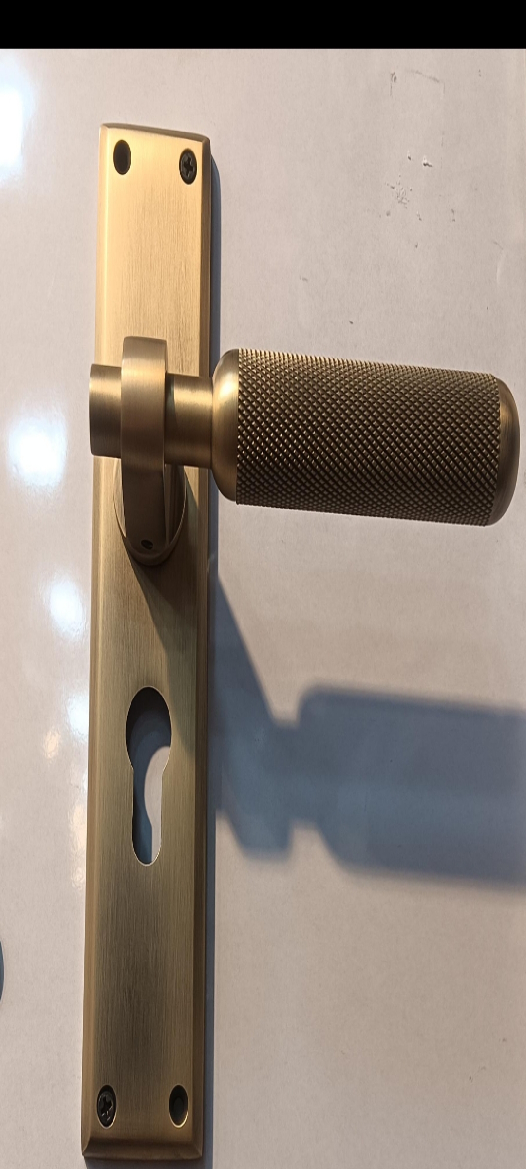 Brass Door Handle view 2