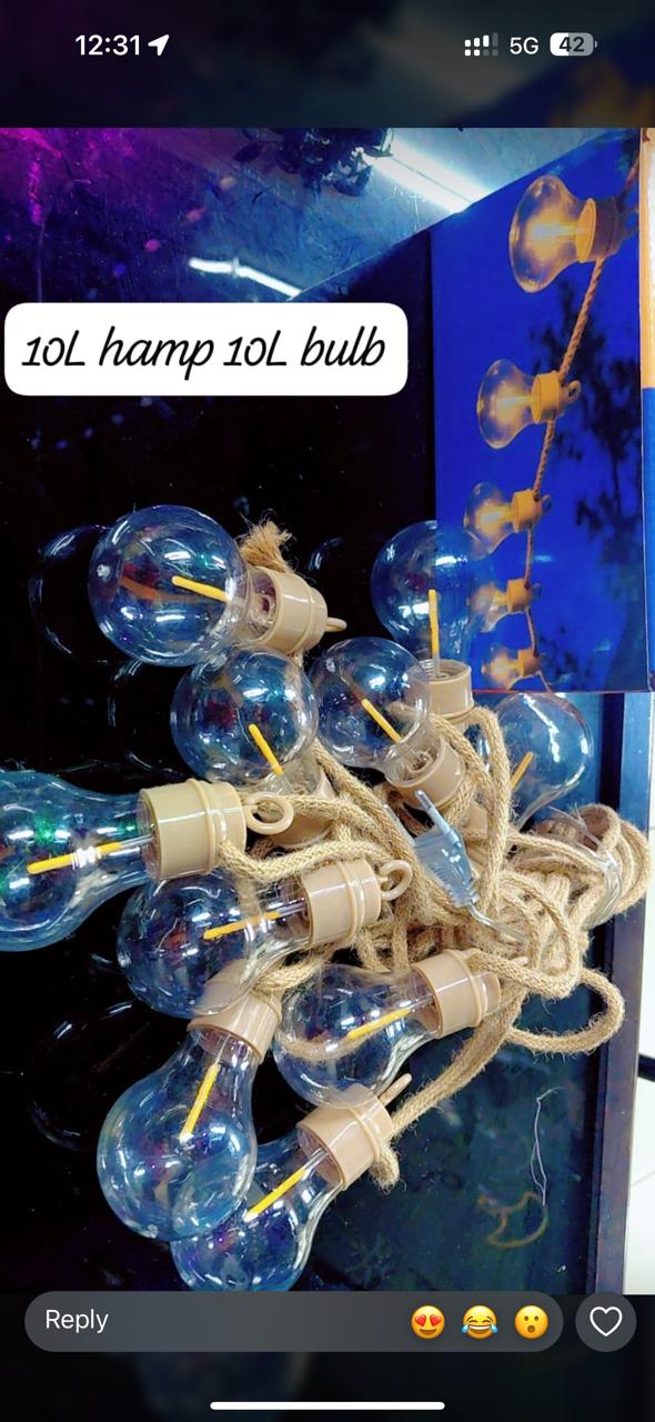 10L Bulb String Lights view 2