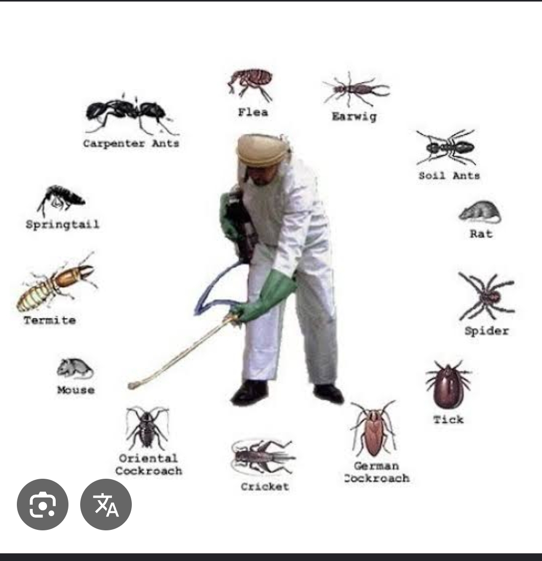Pest Control Services view 2