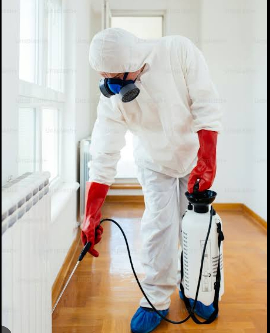 Professional Pest Control Sprayer view 2