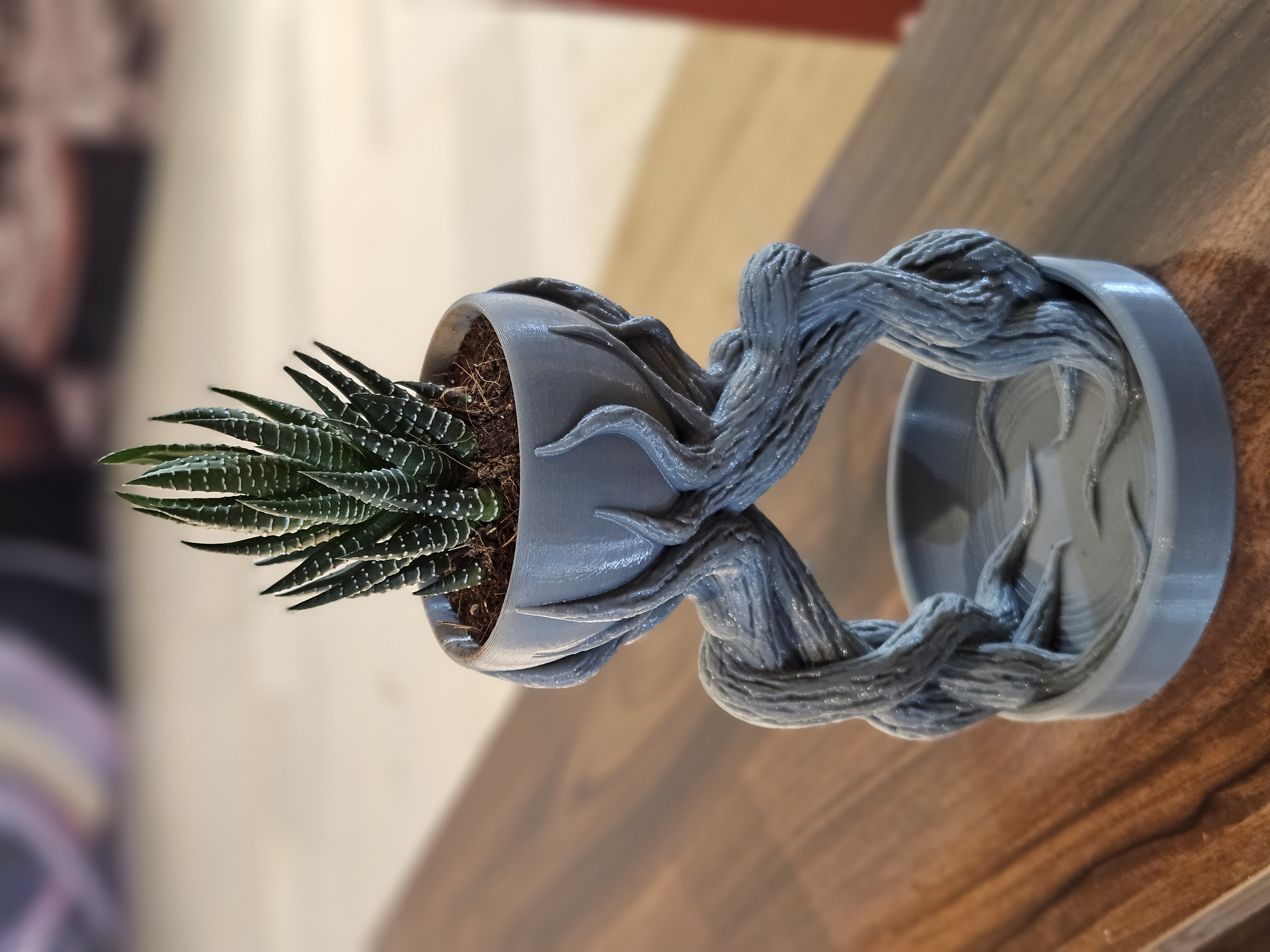 Twisted Planter with Succulent view 2