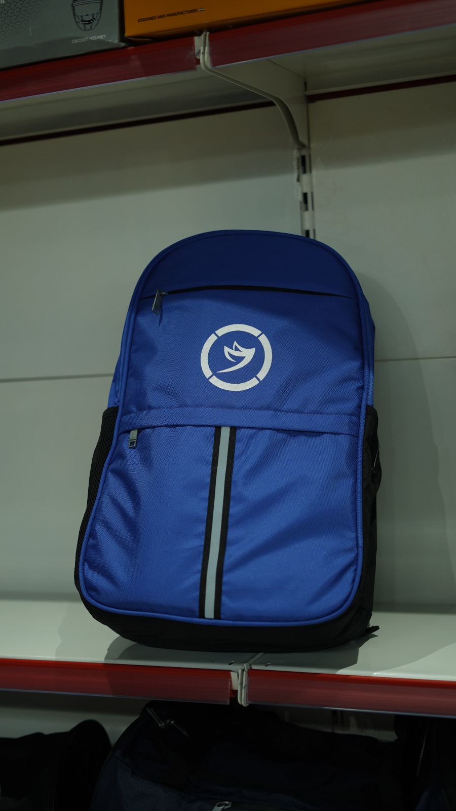 Generic Blue Backpack view 2