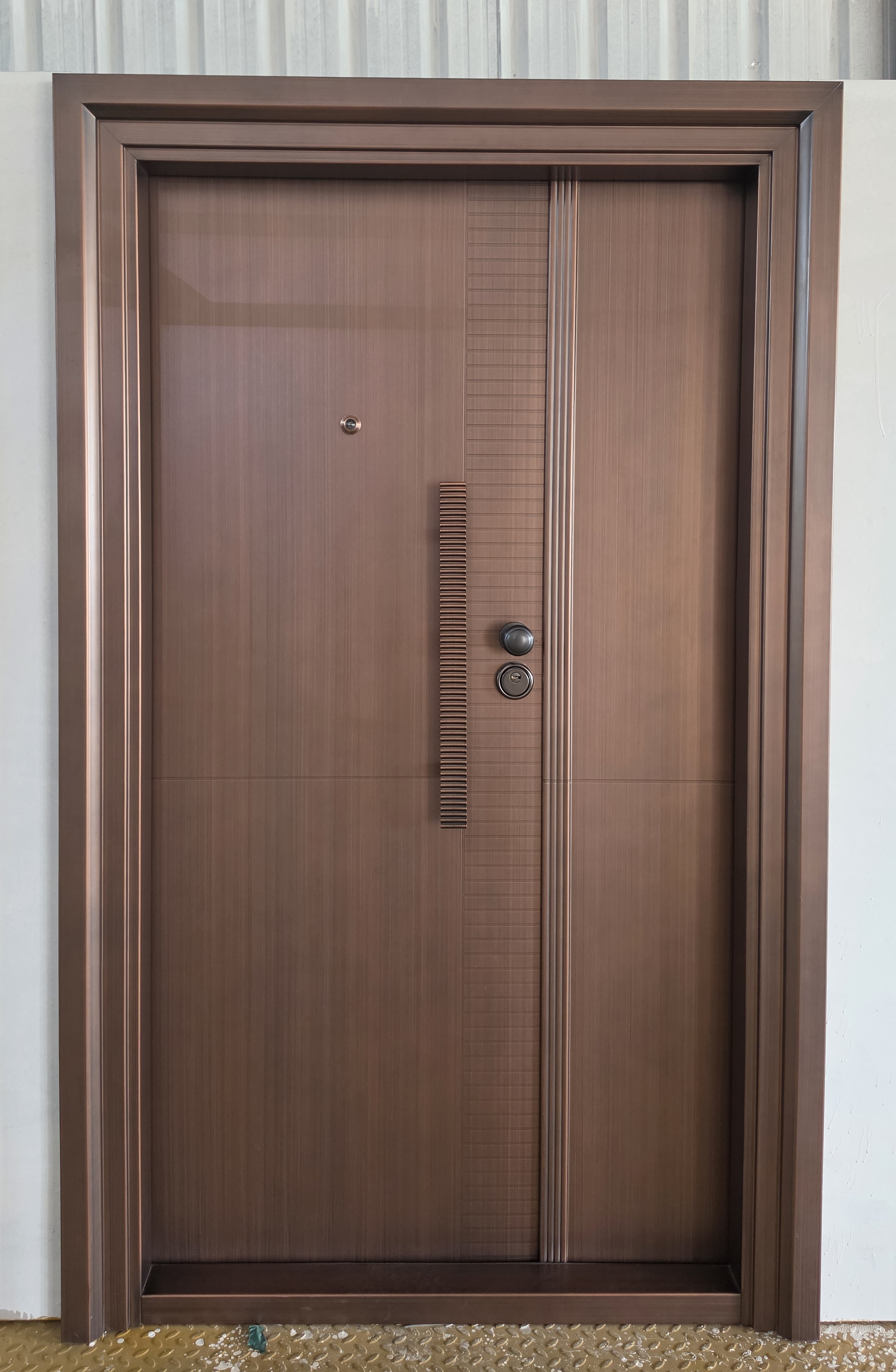 Stylish Entrance Steel Door view 2
