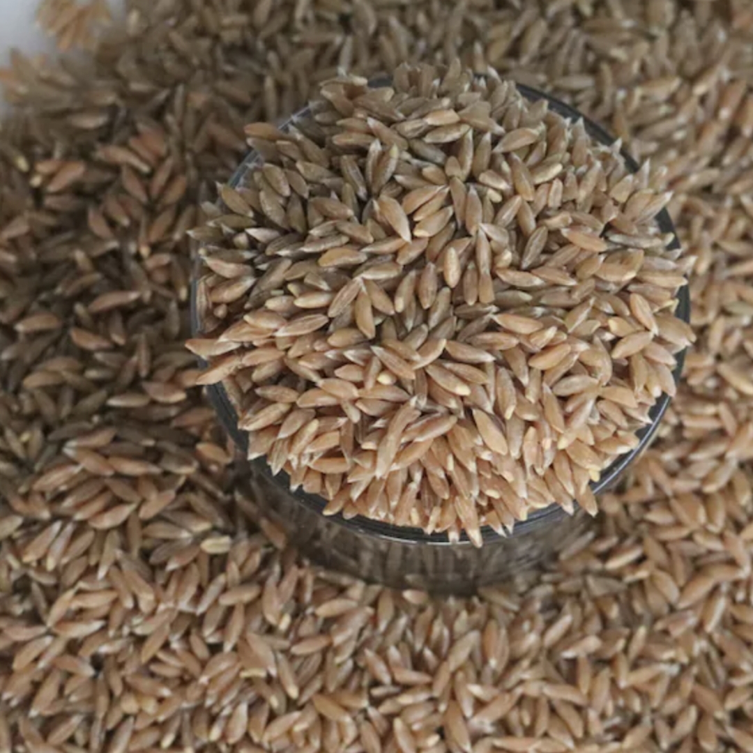 Whole Wheat Grain view 2