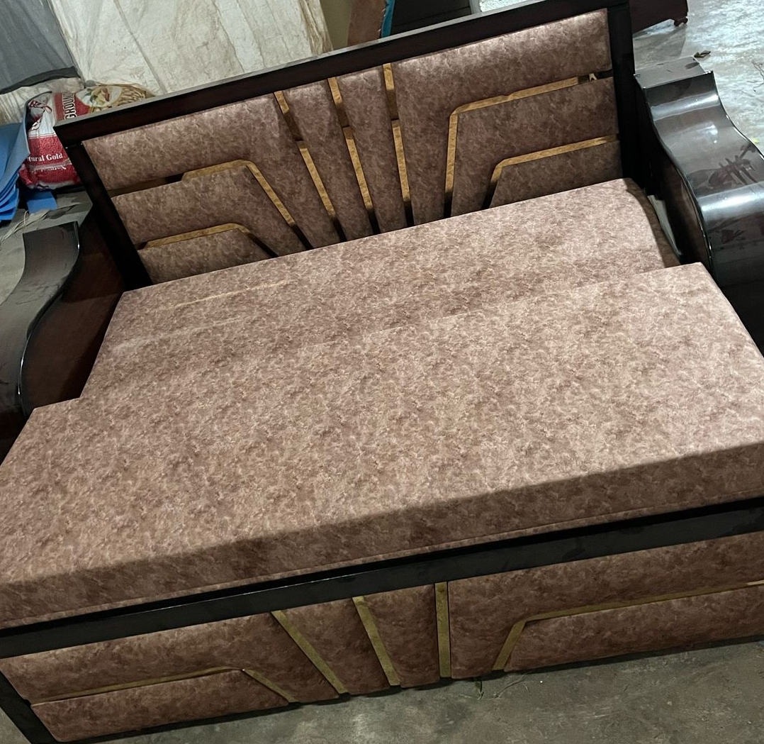 Elegant Sofa-Cum-Bed view 2