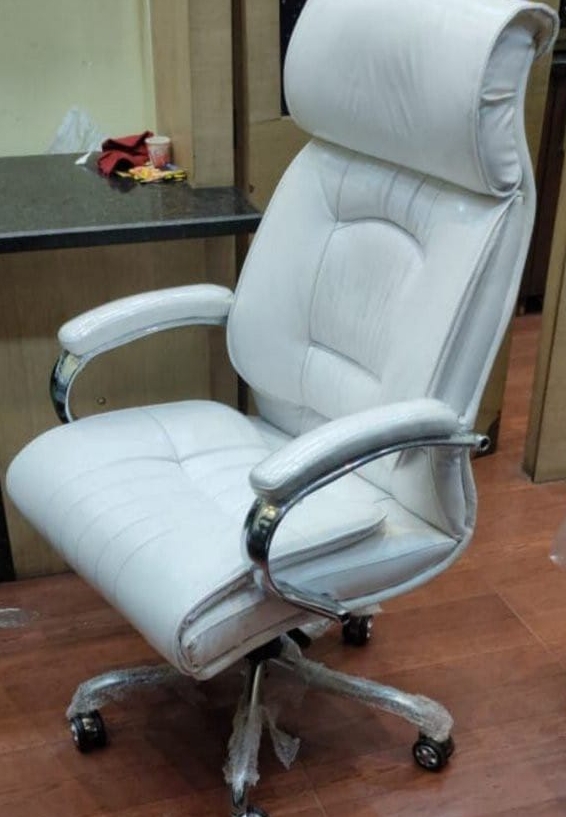 Luxurious Executive Chair view 2