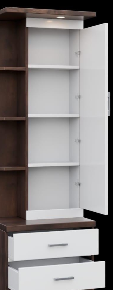 Modern Storage Cabinet view 2