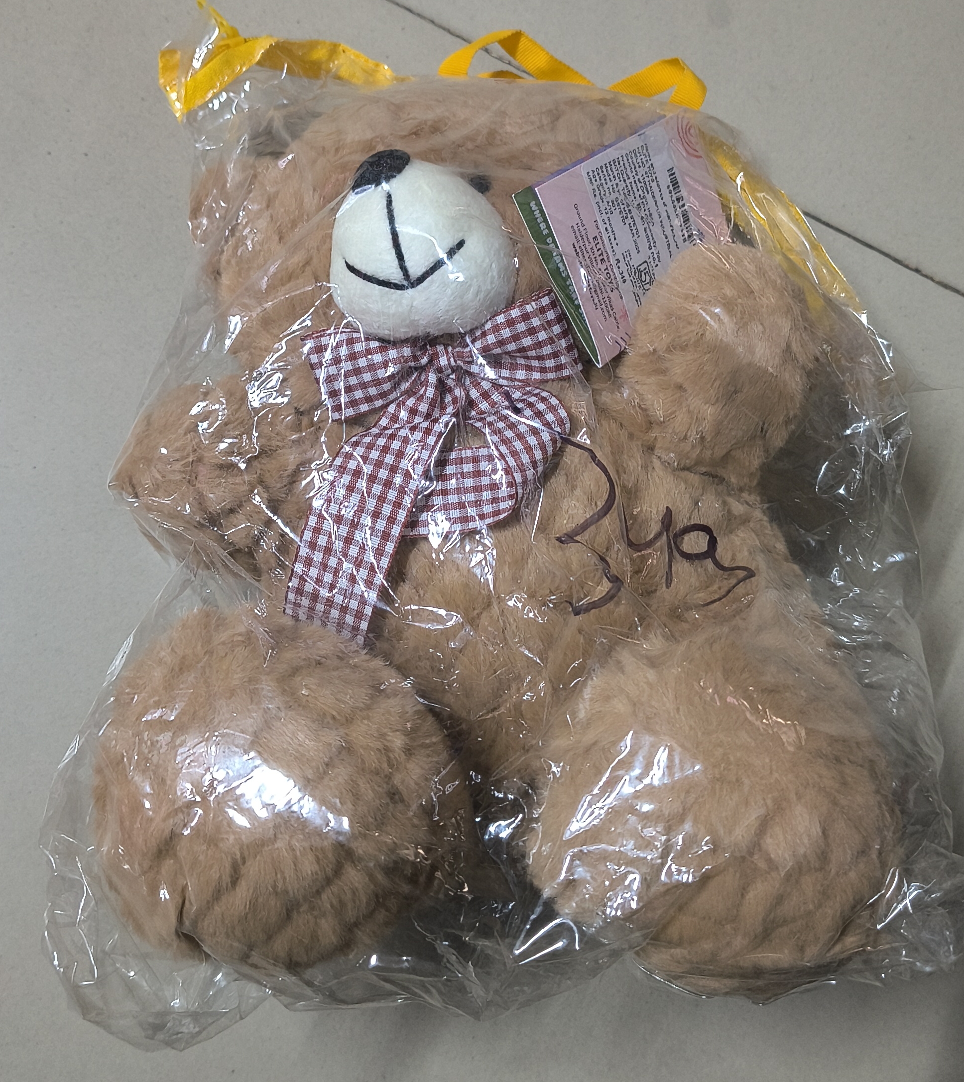 Teddy Bear view 2