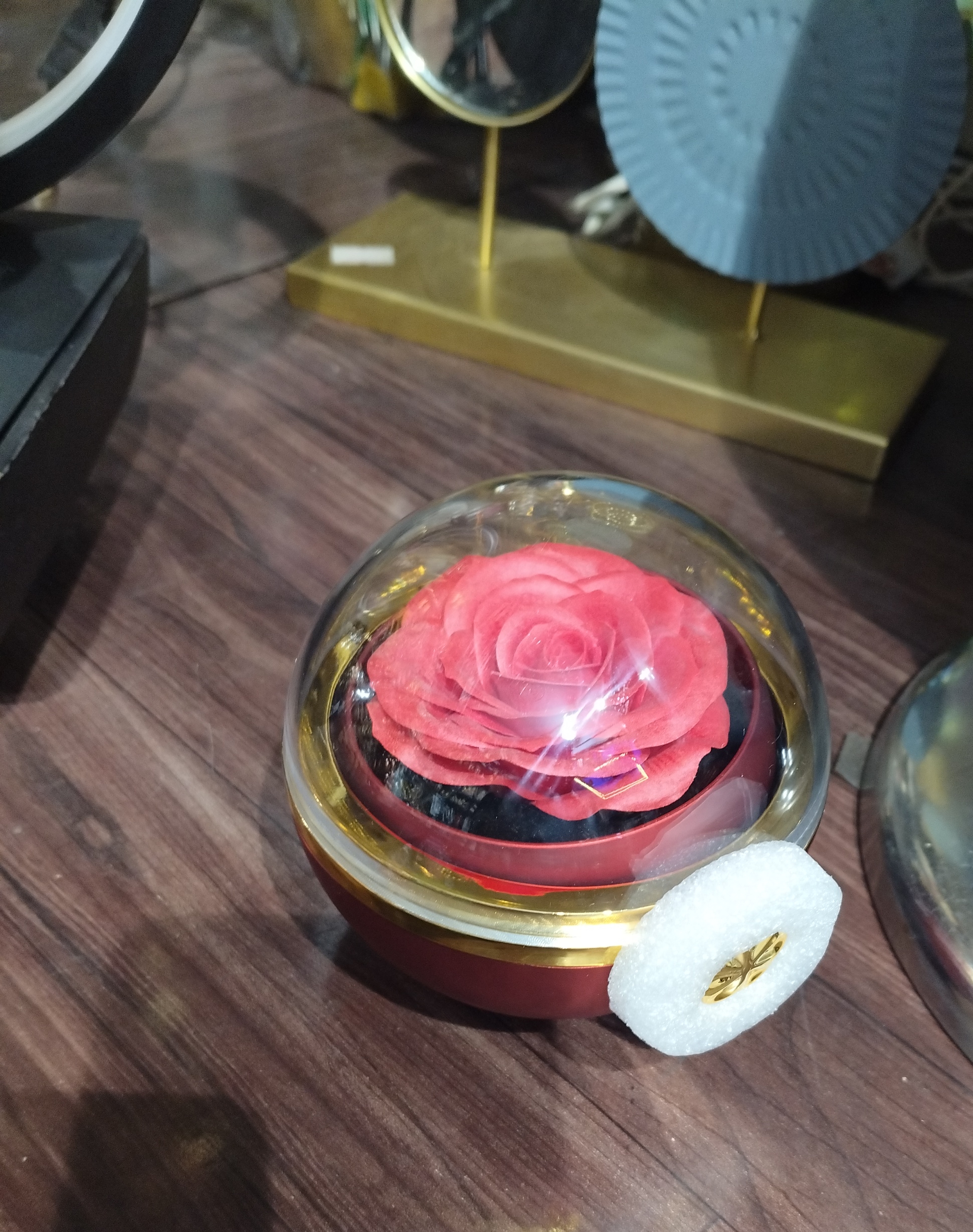 Rose in Glass Dome view 2