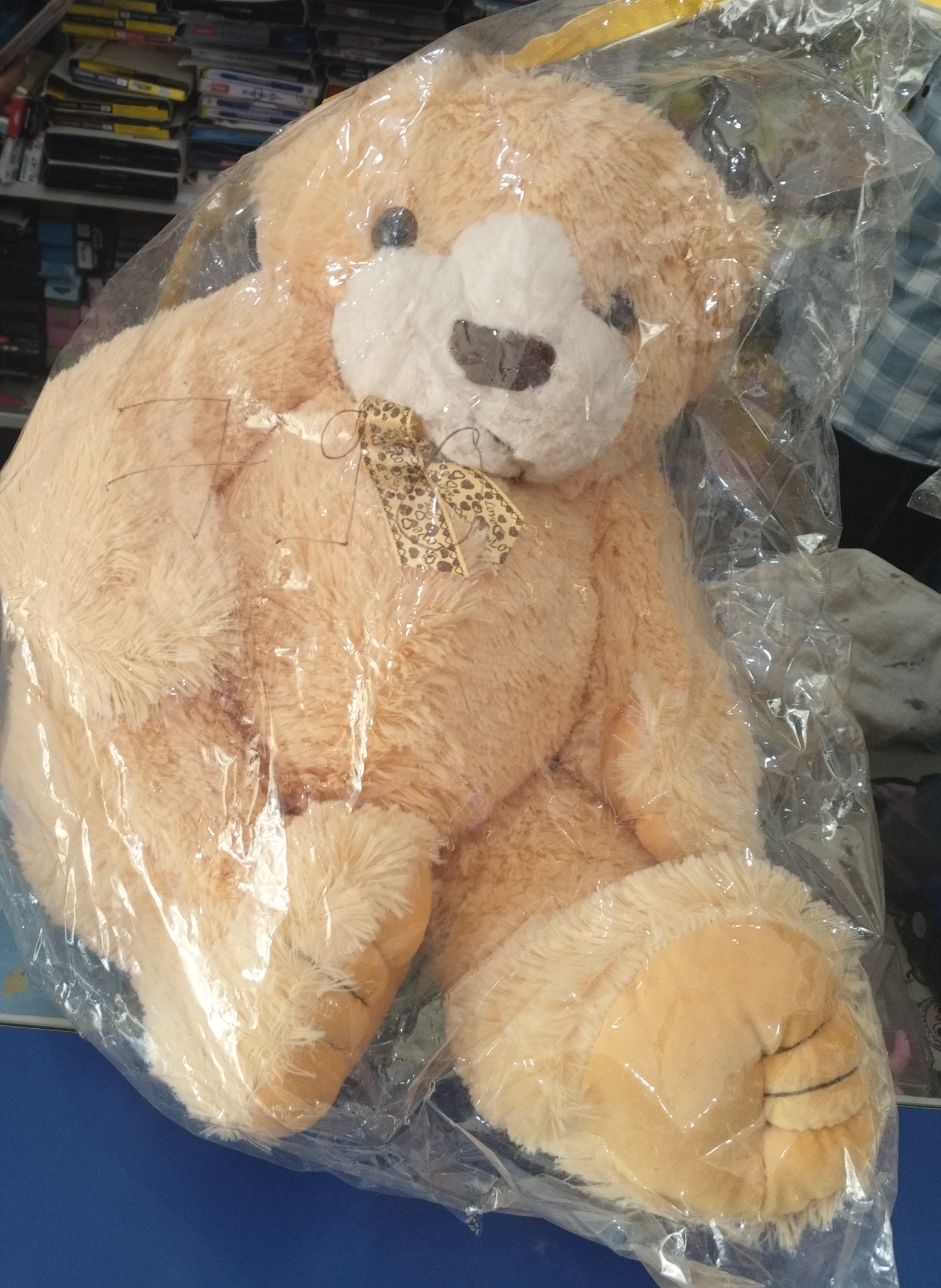 Teddy 🐨🐨 view 2