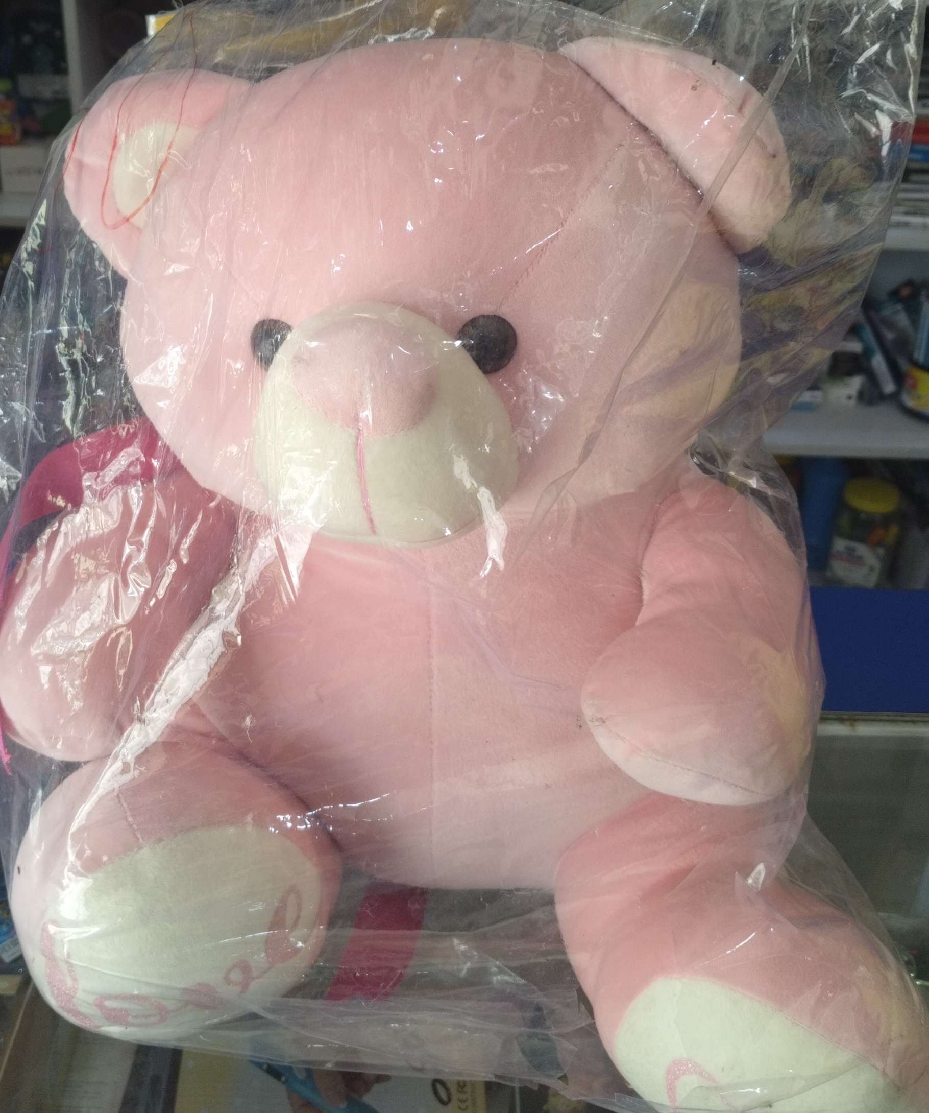 Pink Teddy 🐨🐨 view 2