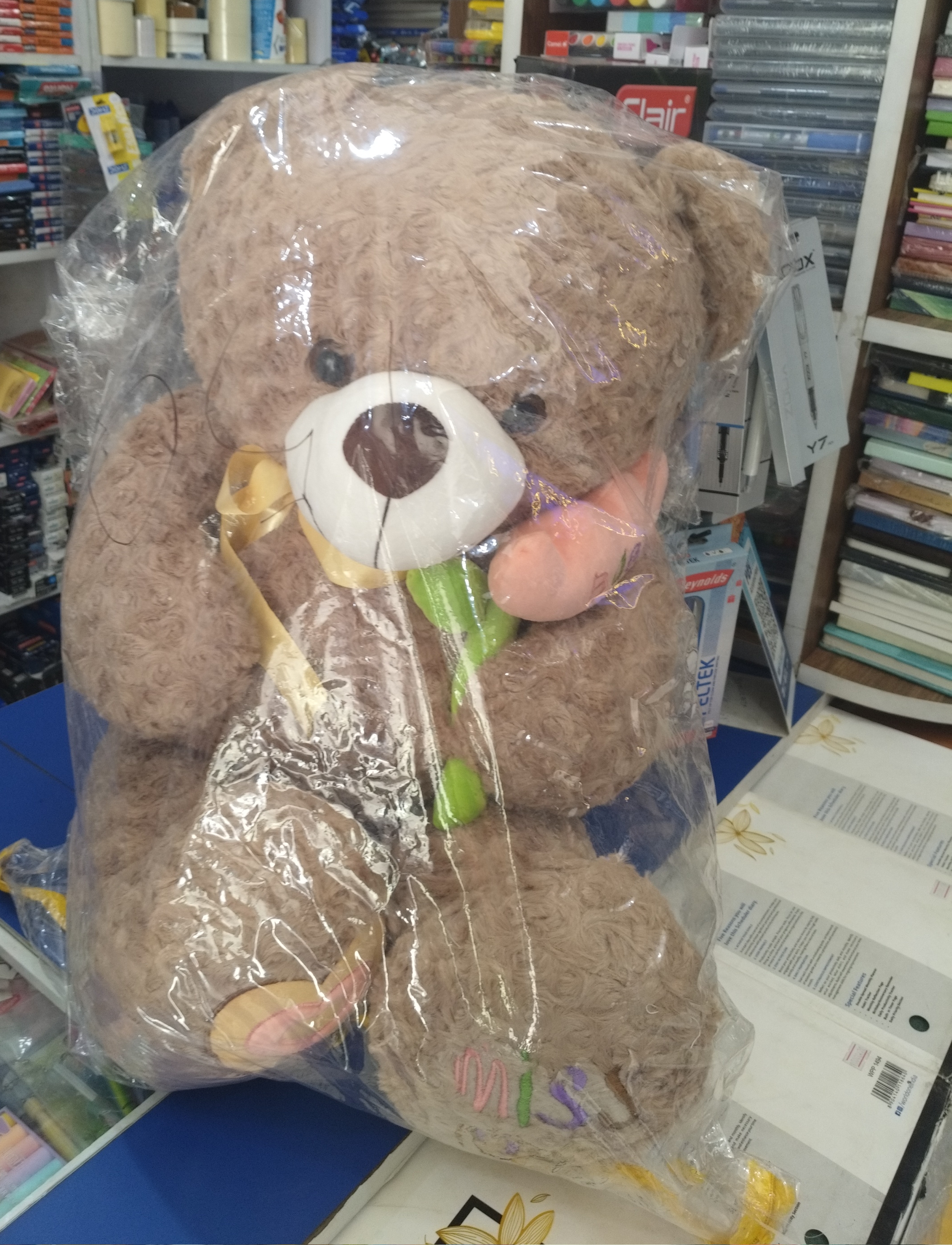 Teddy 🐨🐨🧸 U view 2