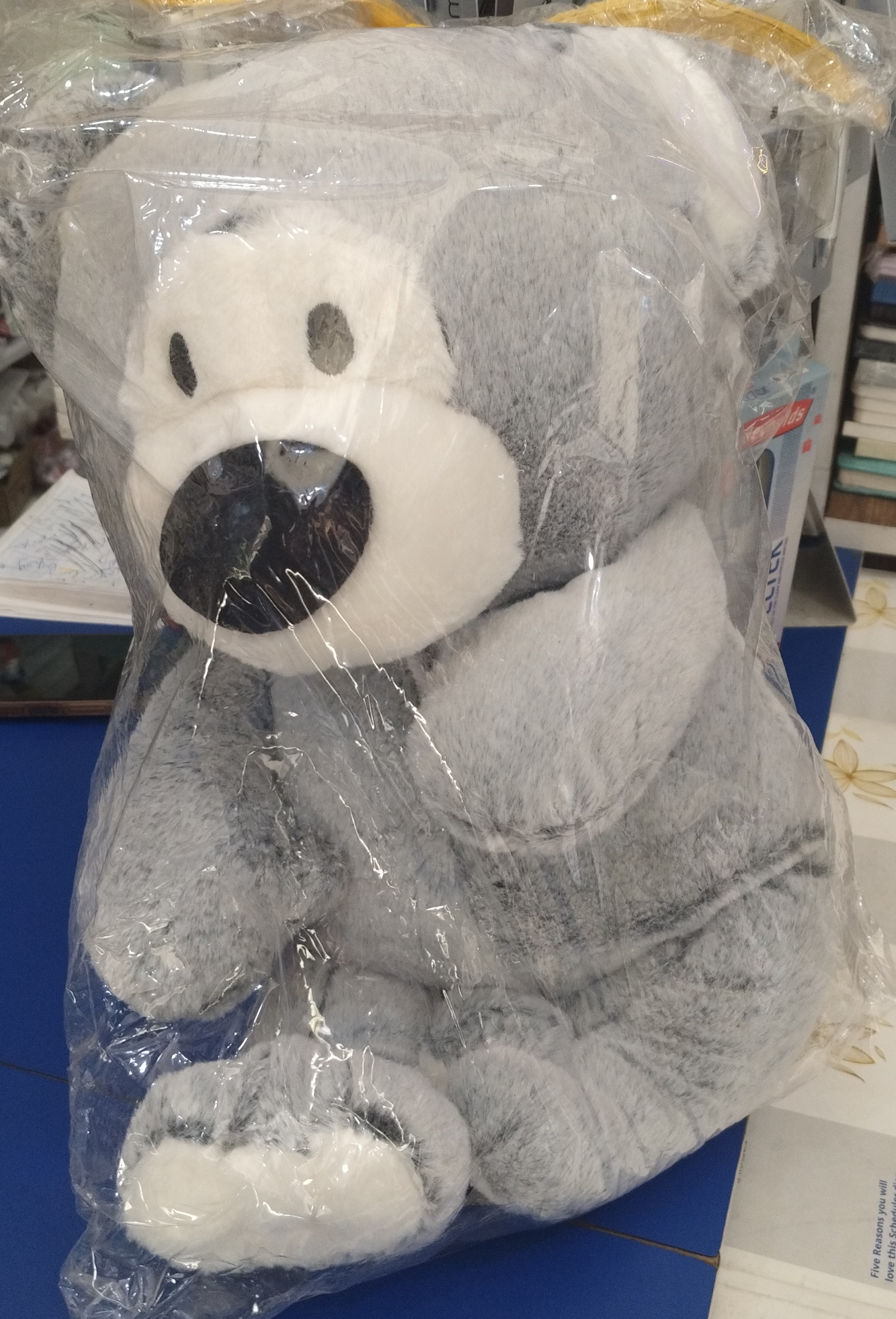 Soft Plush Koala Toy view 2