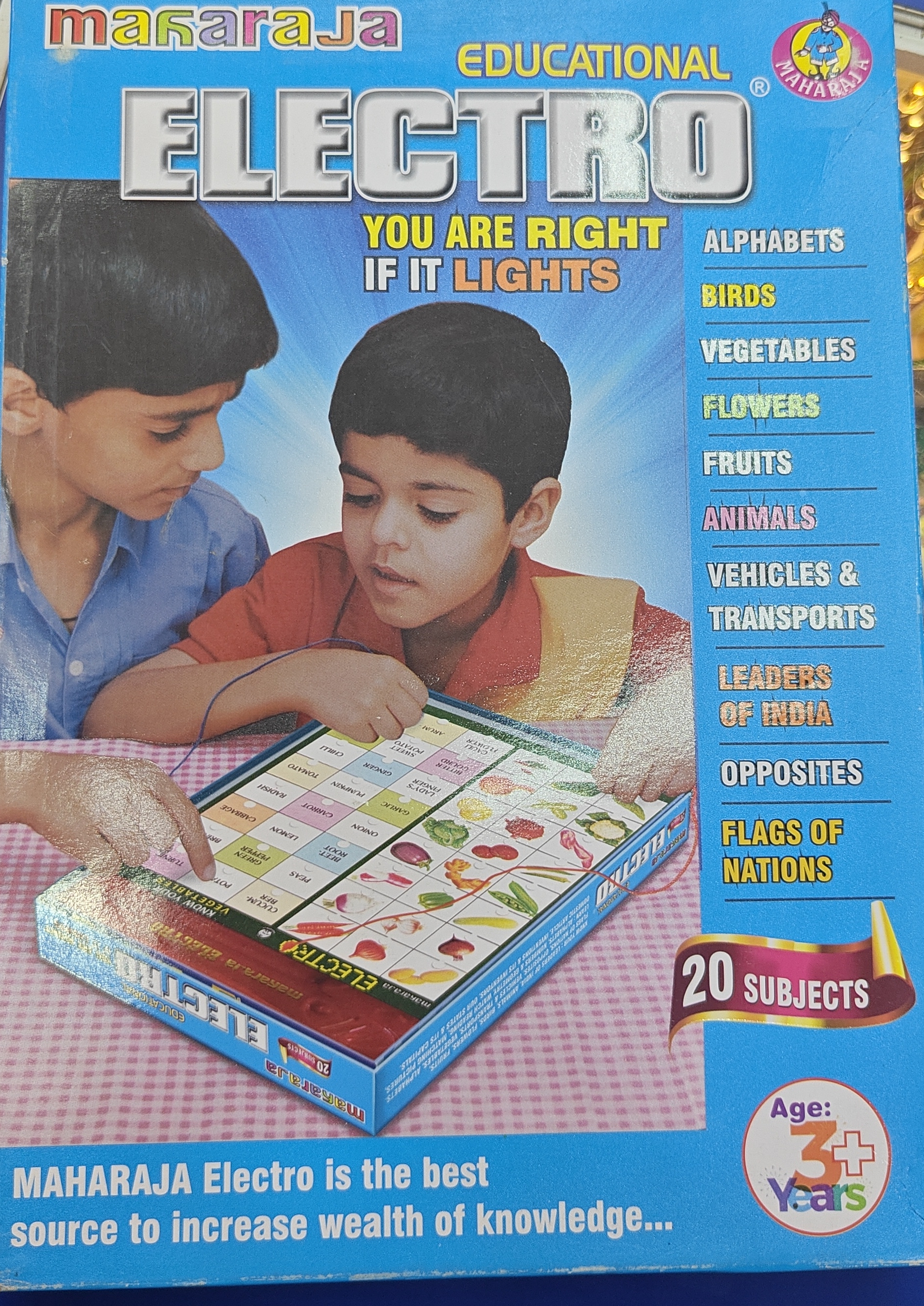 Maharaja Electro Educational Game view 2