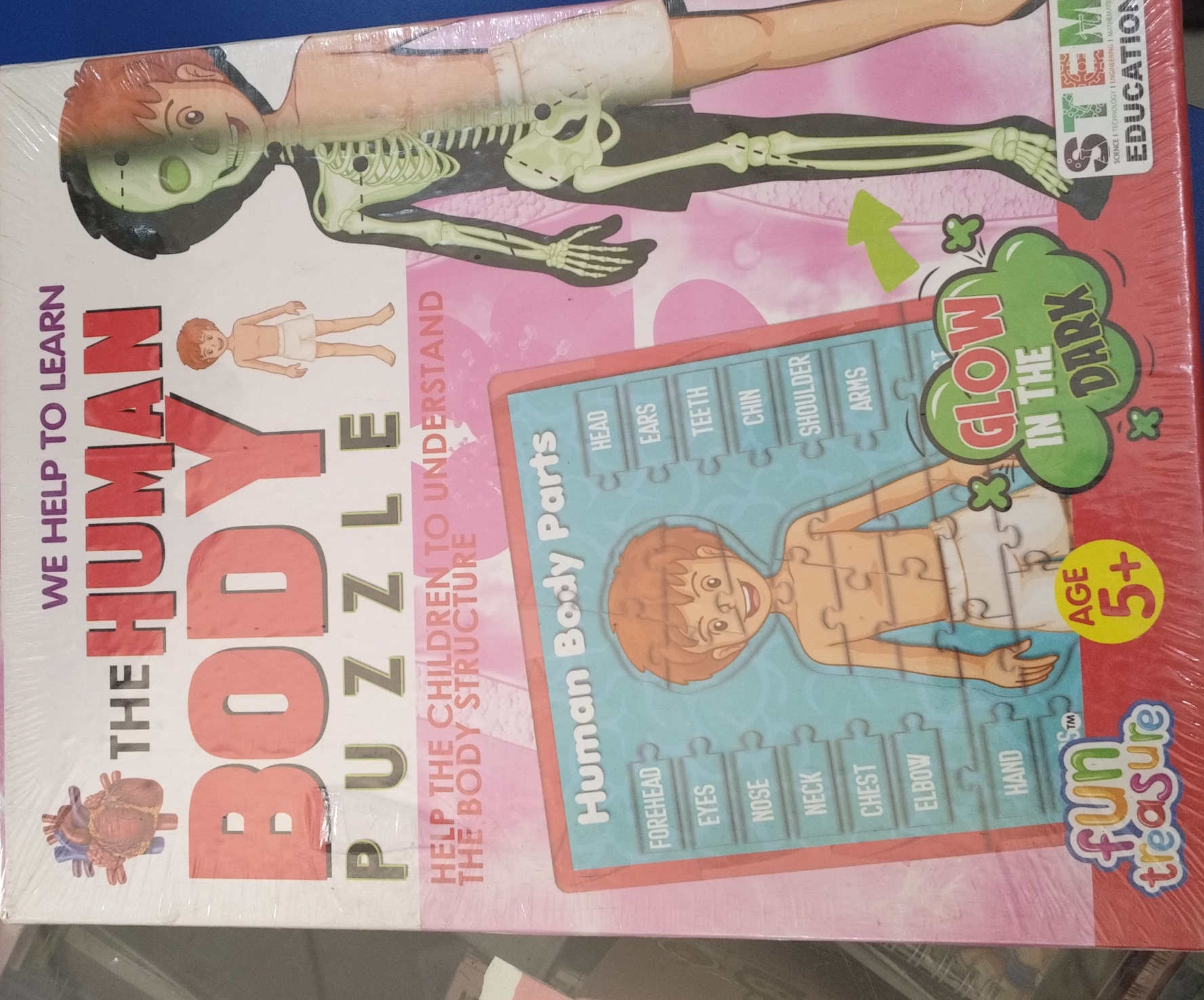 The Human Body Puzzle view 2