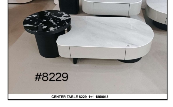 Center Table 8229 view 2