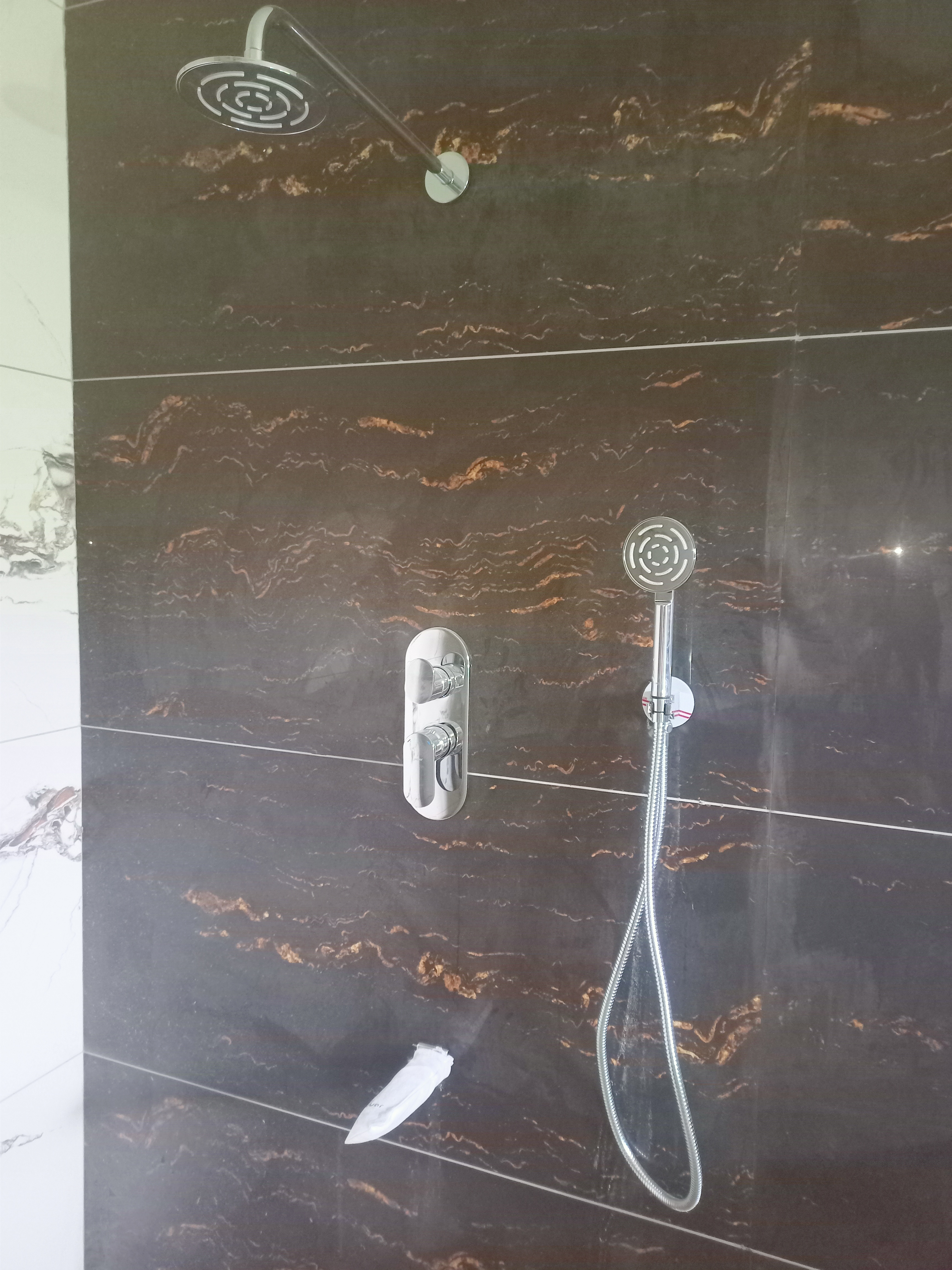 Chrome Shower System view 2