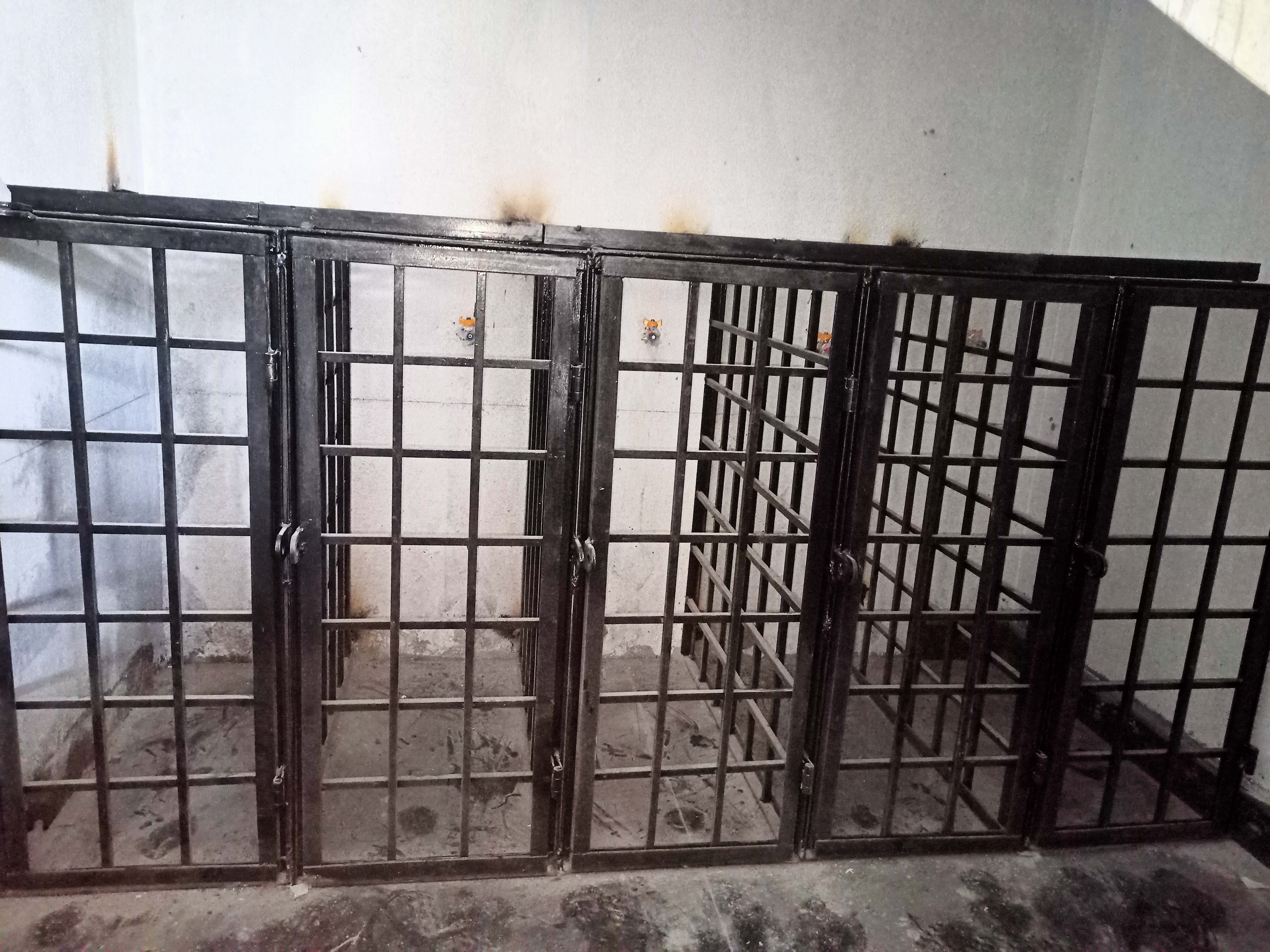 Metal Animal Cages view 2