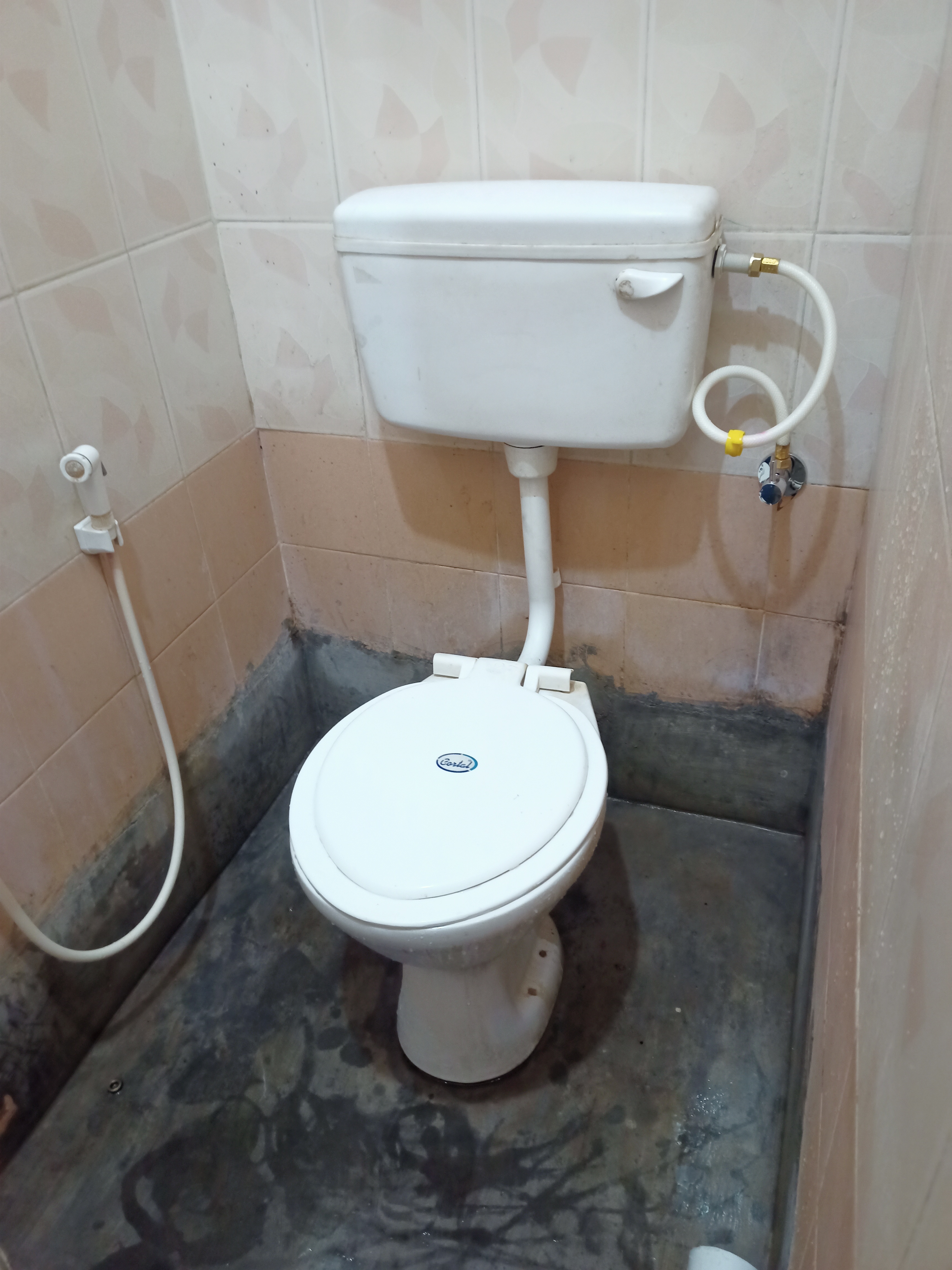 Cera Toilet view 2