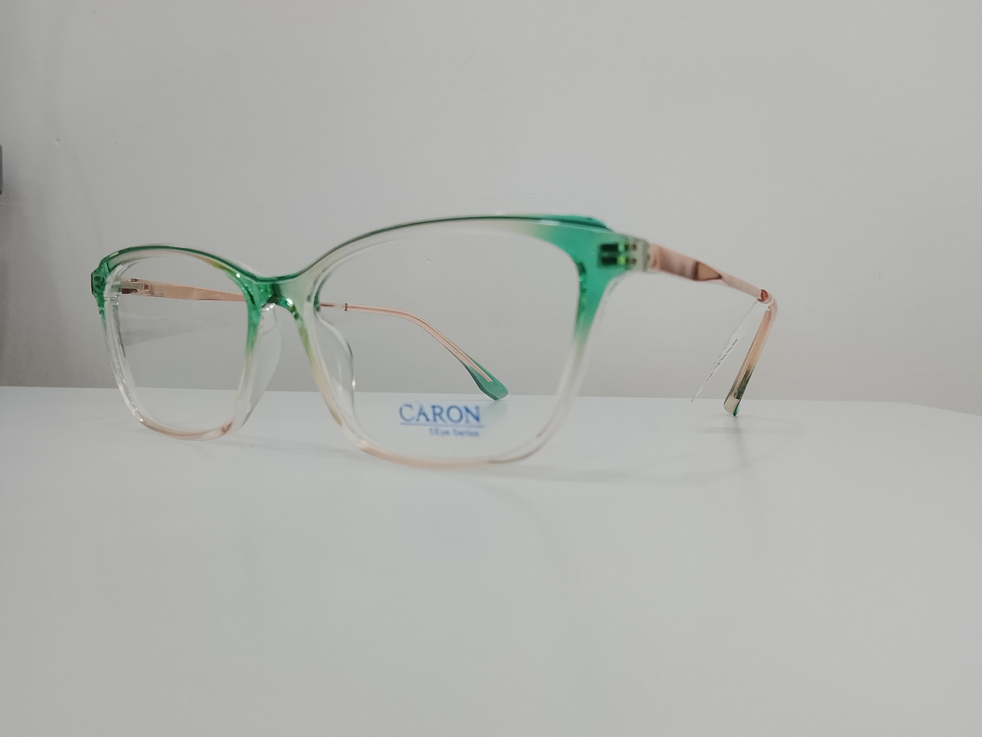Caron Optical Frame view 2
