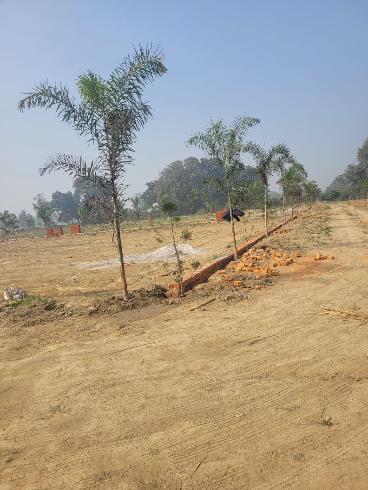 Land Plot view 2