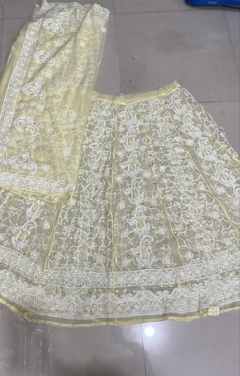 Chikankari Embroidered Lehenga Set view 3