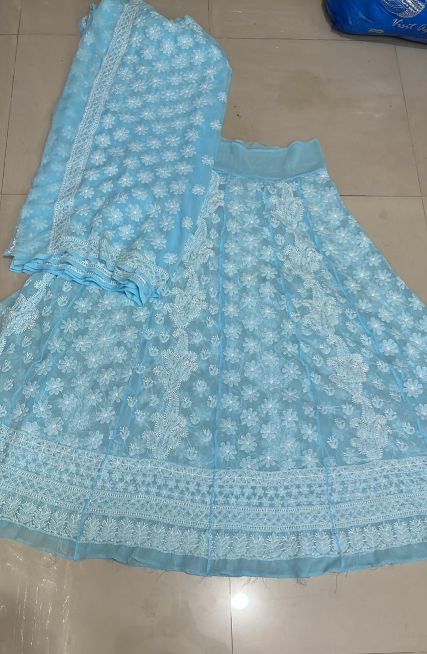 Chikankari Embroidered Lehenga Set view 2