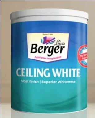 Berger Ceiling White view 2