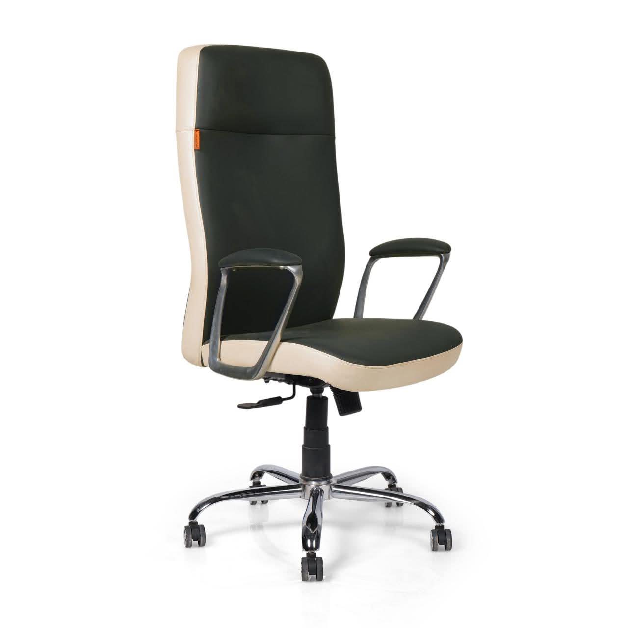 Ergonomic  Chair view 2
