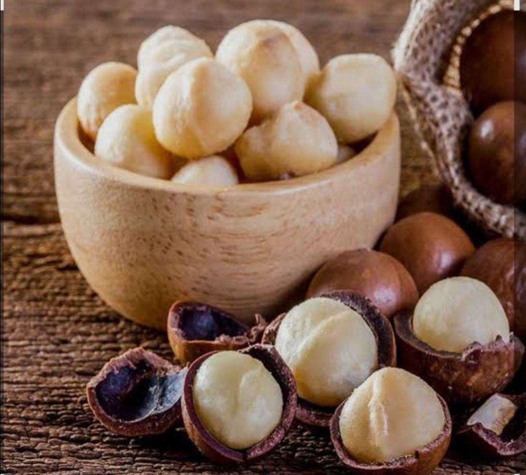 Macadamia Nuts With Out Cell view 2