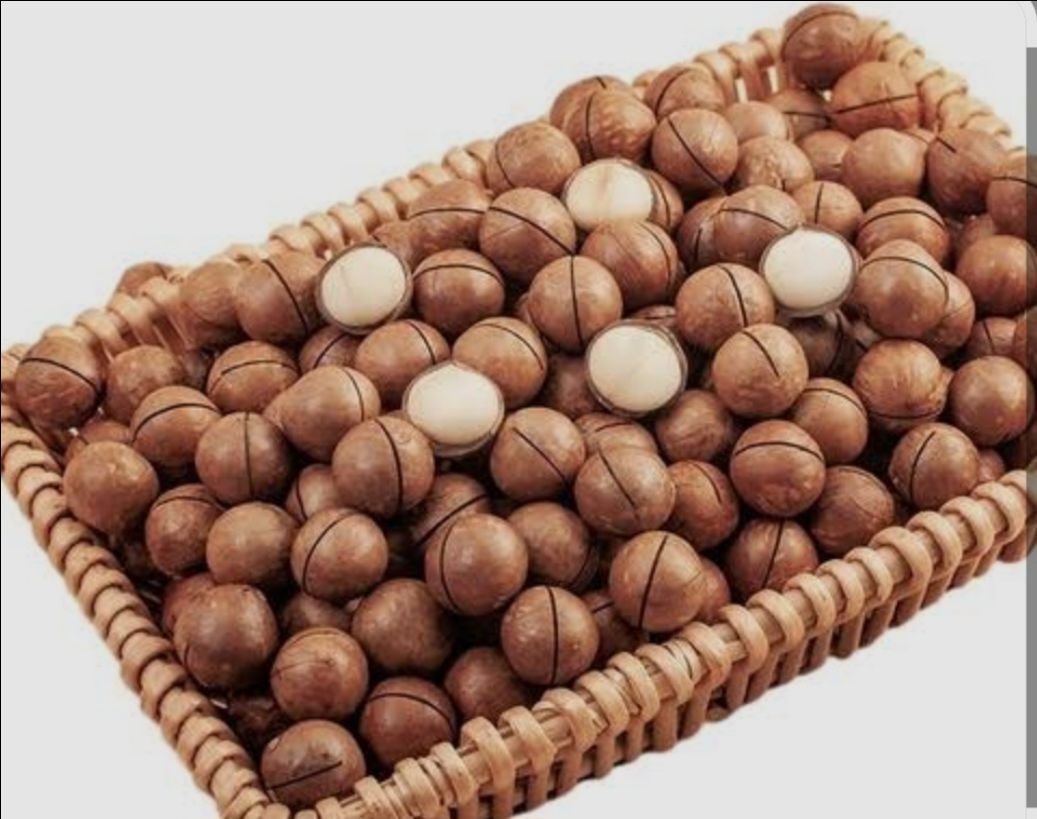 Macadamia Nuts With Out Cell view 3