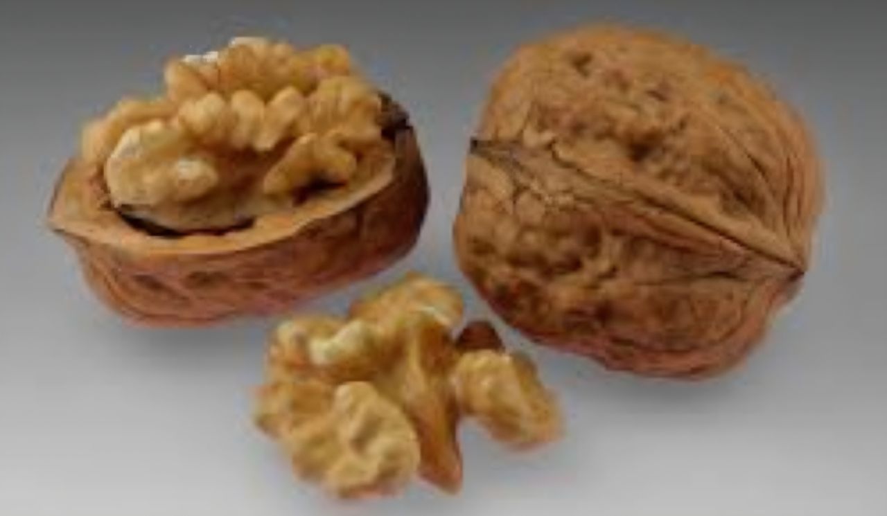 Walnuts Afghan With Cell view 2