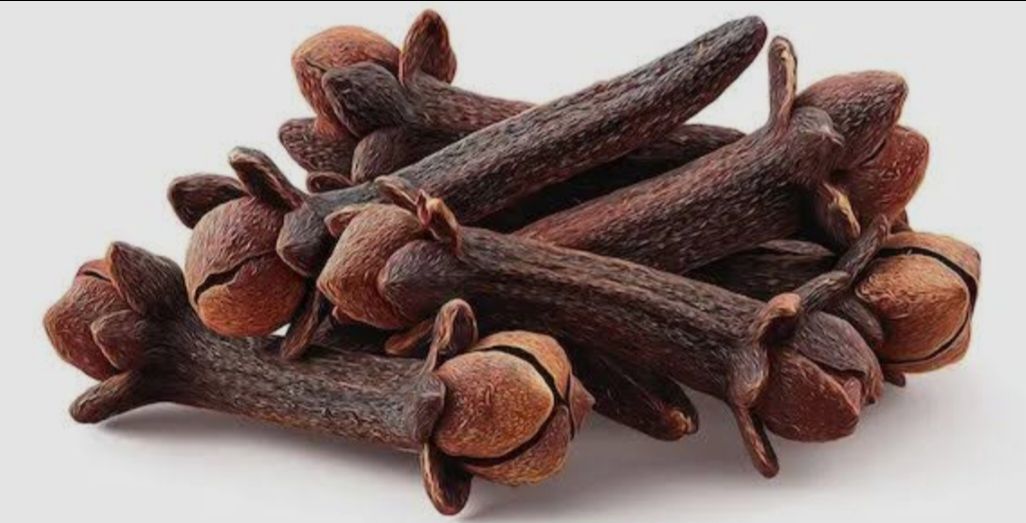 Clove(Lavanga ) view 2