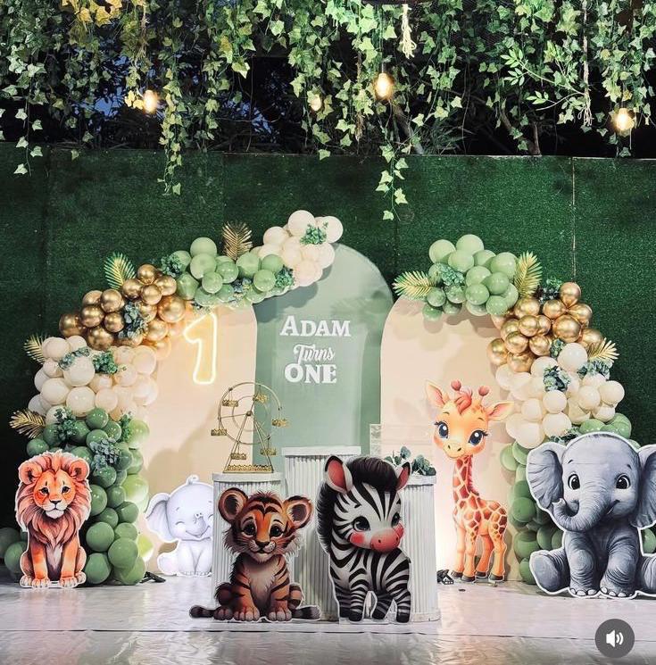 Animal Theme Party Decoration Kits