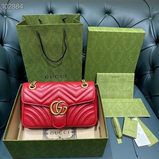 Gucci Bag view 2