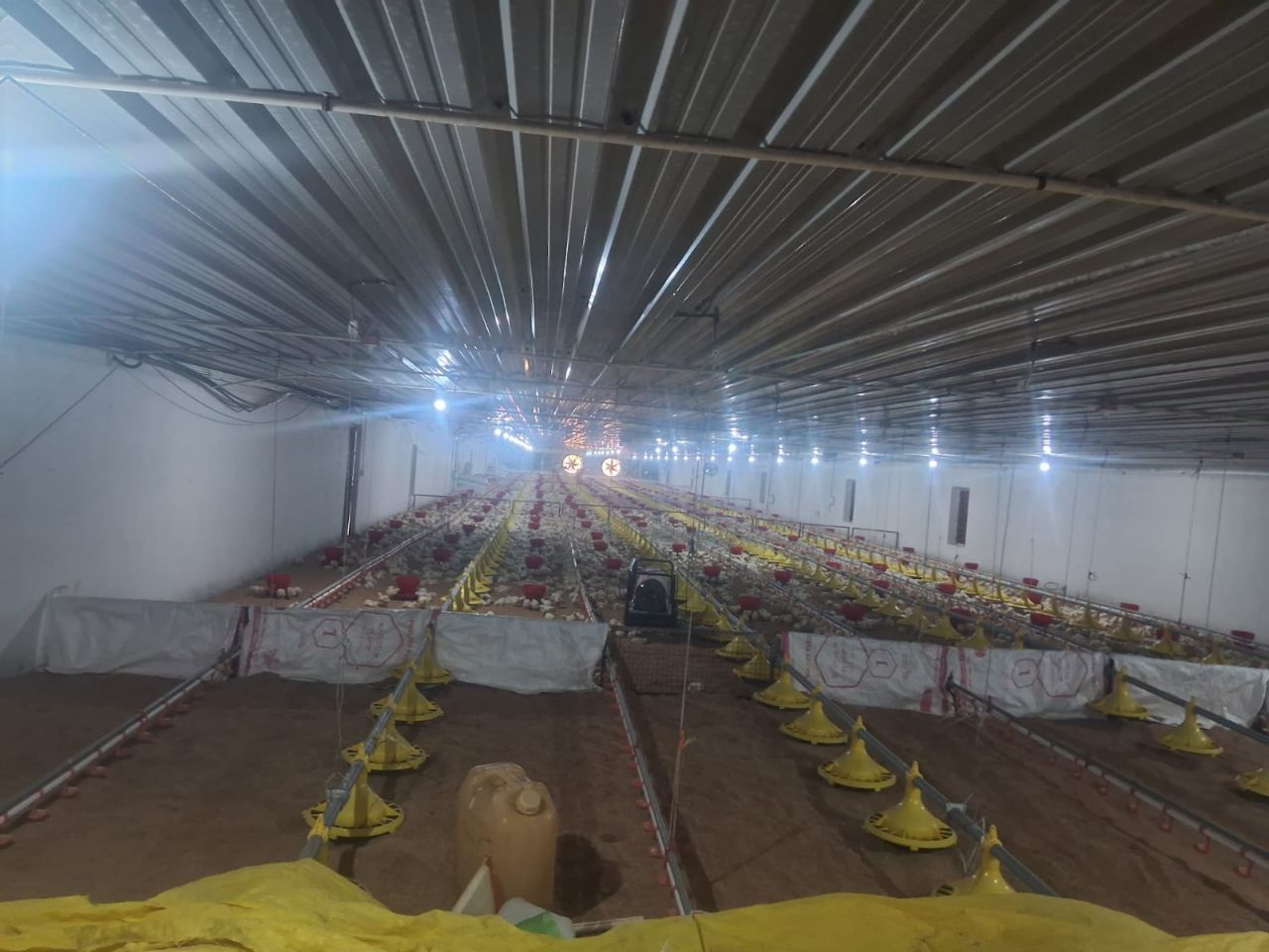 EC Poultry Farm - Hampapura,  HD Kote Road view 5