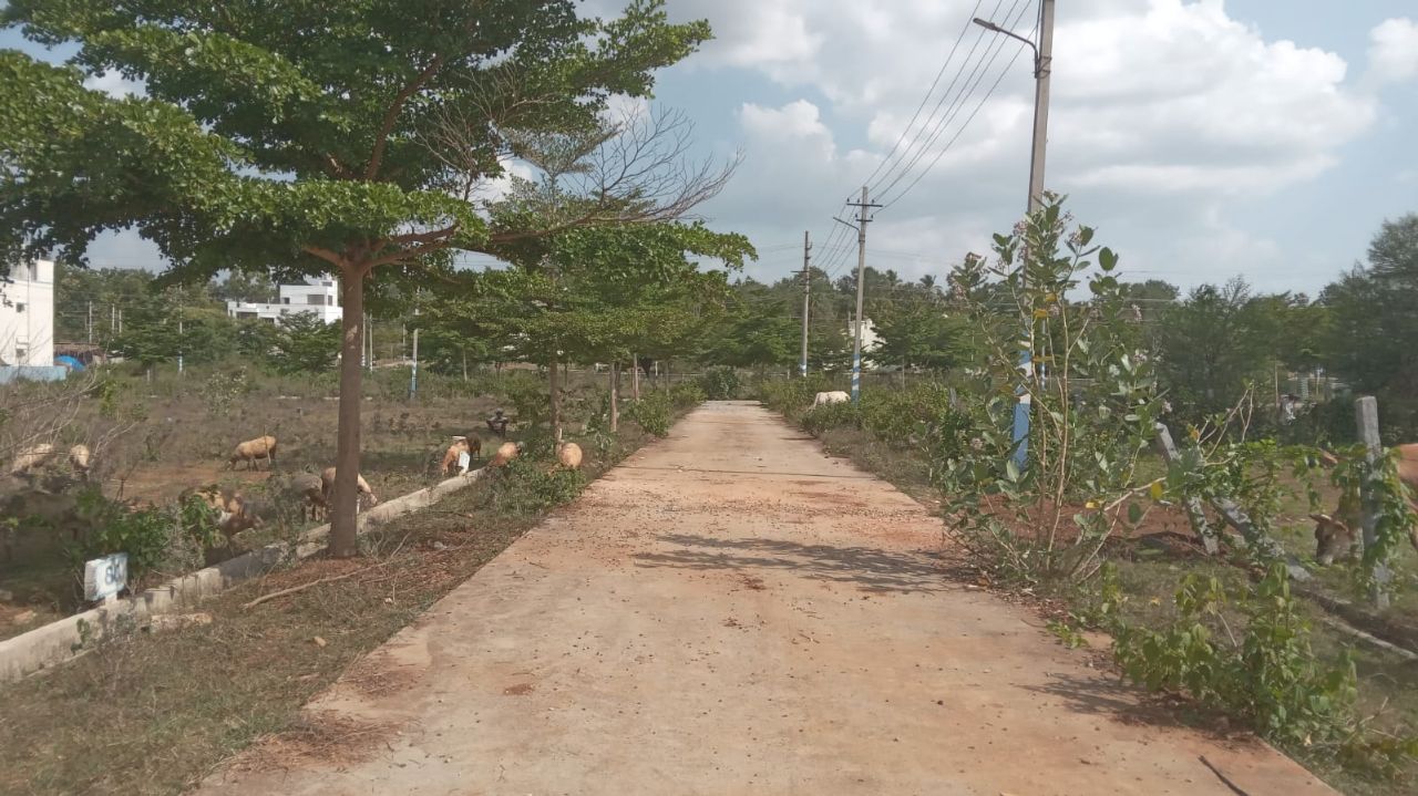 Yash Smart City, Bogadi Road view 3