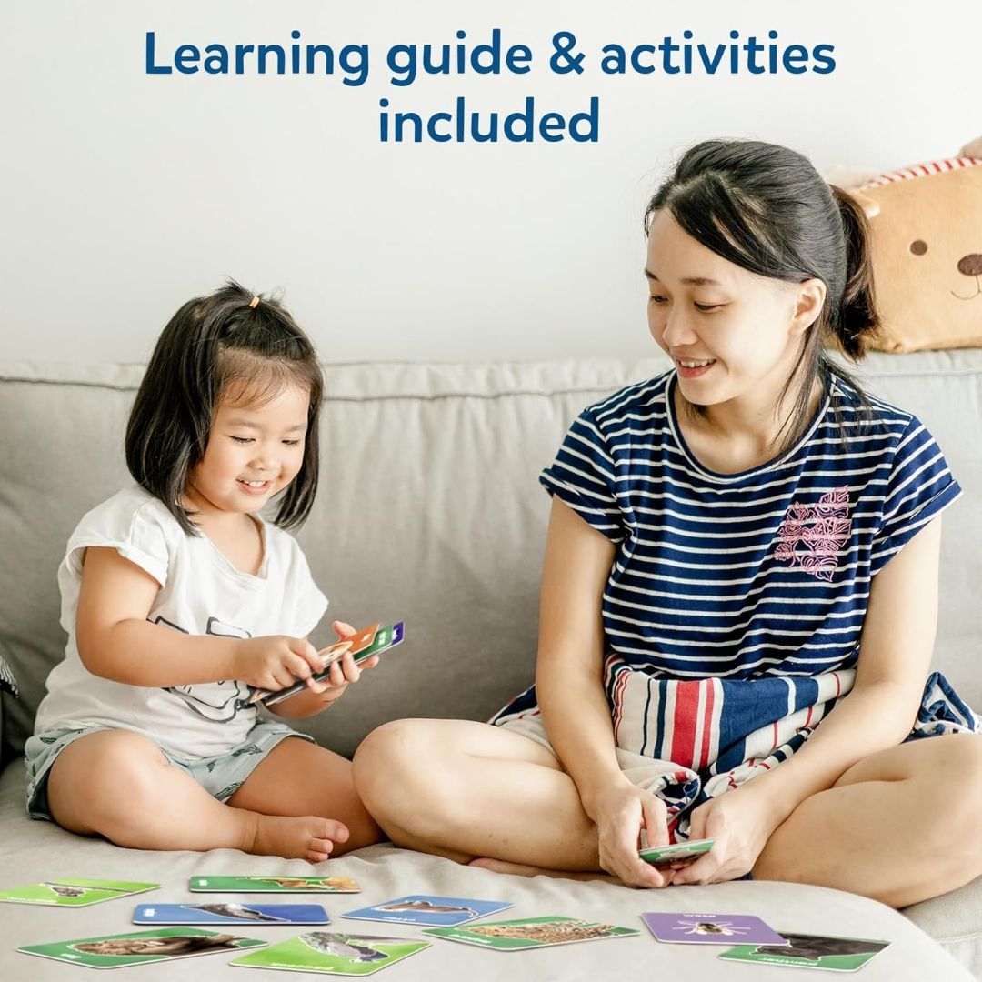 Skillmatics Thick Learning Flash Cards for Toddlers – First 100 Animals
Montessori Toys, Preschool Educational Activities, Learning Aids, Gifts for Kids Ages 1, 2, 3, 4 Years view 5