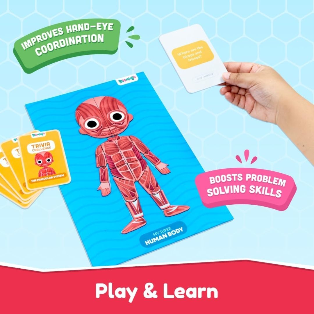 Bloomingo My Super Human Body Magnetic Puzzle Kit | Explore the Wonders of the Human Body with Fun Magnetic Layers | Learn About Skeleton, Muscles & Organs | Exciting Science Gift for Kids Age 5+ view 6