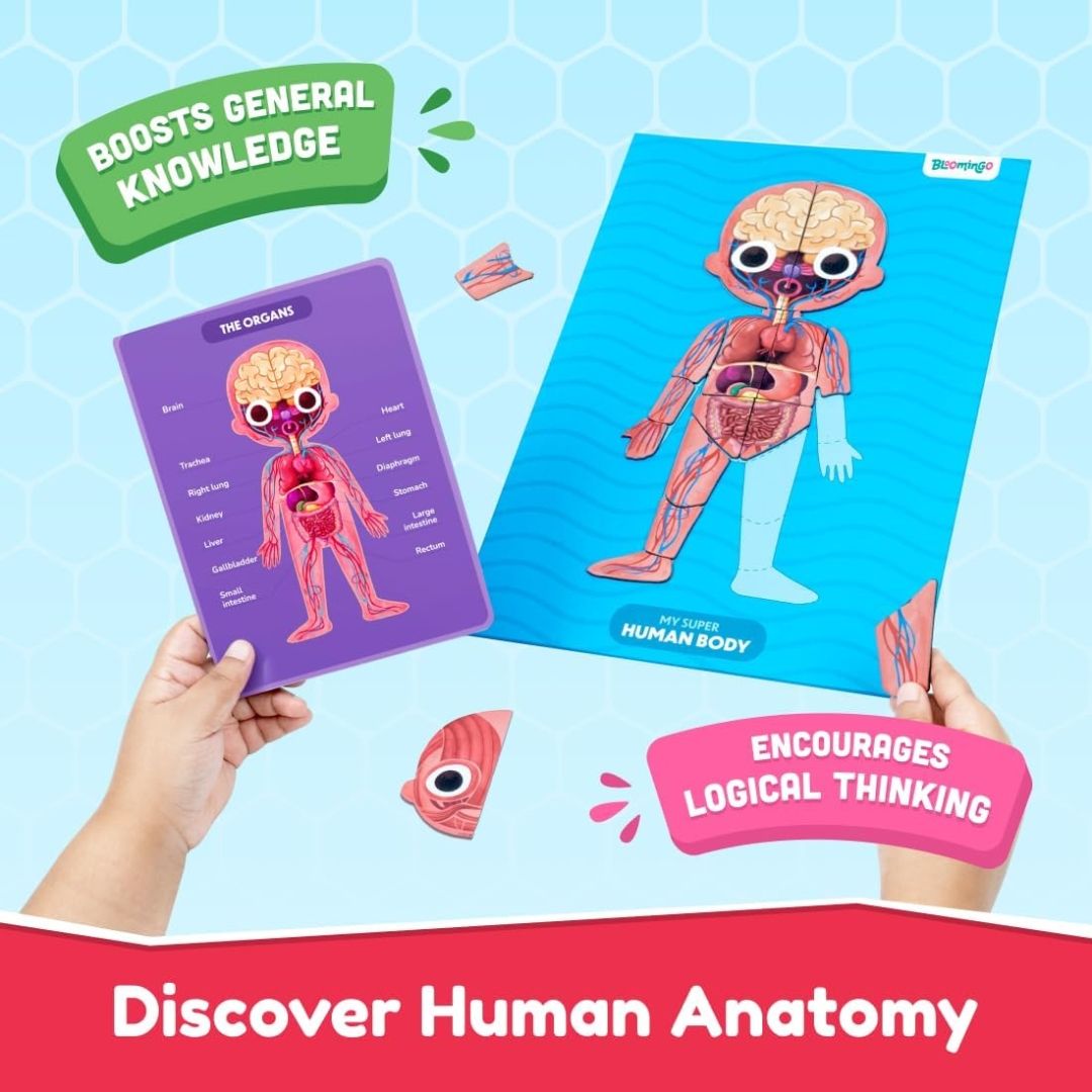 Bloomingo My Super Human Body Magnetic Puzzle Kit | Explore the Wonders of the Human Body with Fun Magnetic Layers | Learn About Skeleton, Muscles & Organs | Exciting Science Gift for Kids Age 5+ view 7
