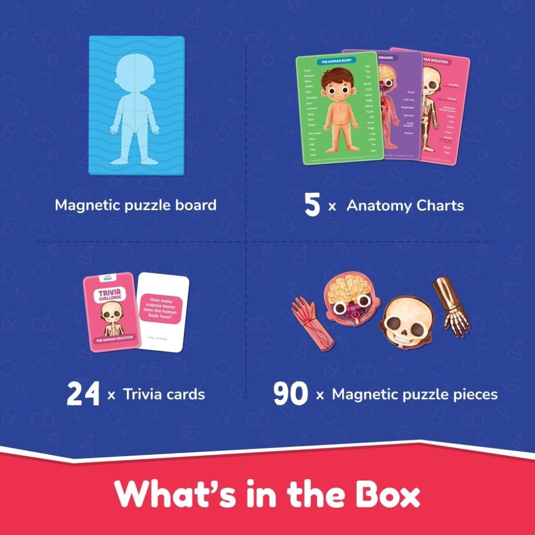 Bloomingo My Super Human Body Magnetic Puzzle Kit | Explore the Wonders of the Human Body with Fun Magnetic Layers | Learn About Skeleton, Muscles & Organs | Exciting Science Gift for Kids Age 5+ view 4