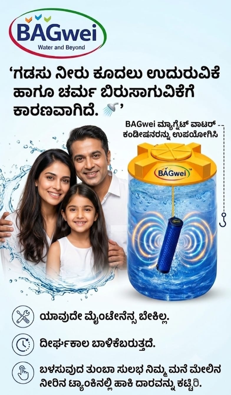 BAGwei Water Purifier