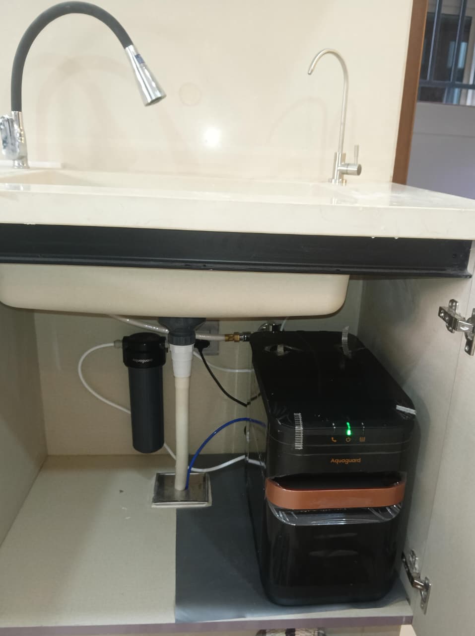 Aquaguard Water Purifier