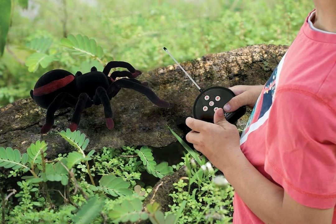 Realistic Remote Controlled Tarantula/Spider, 8 Hairy Legs, 2 mandibles, Light Effects in The Eyes, Remote Control Included, SPIDER01 view 8